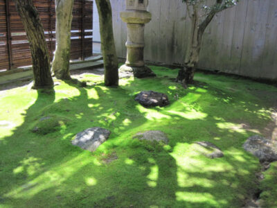 muku-035.jpg